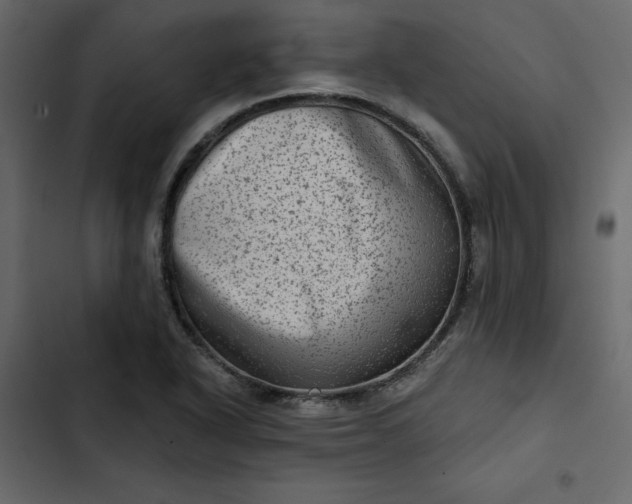 X0000102831318200809021304