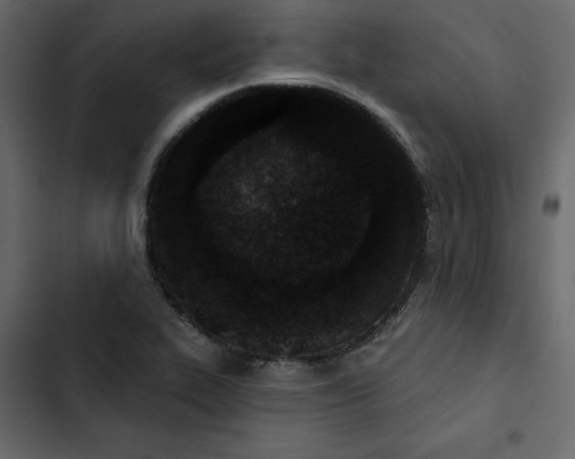 X0000102831319200809021304