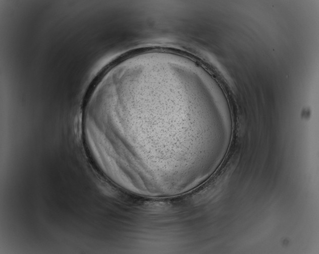 X0000102831320200809021304