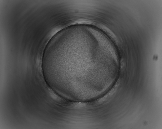 X0000102831321200809021305