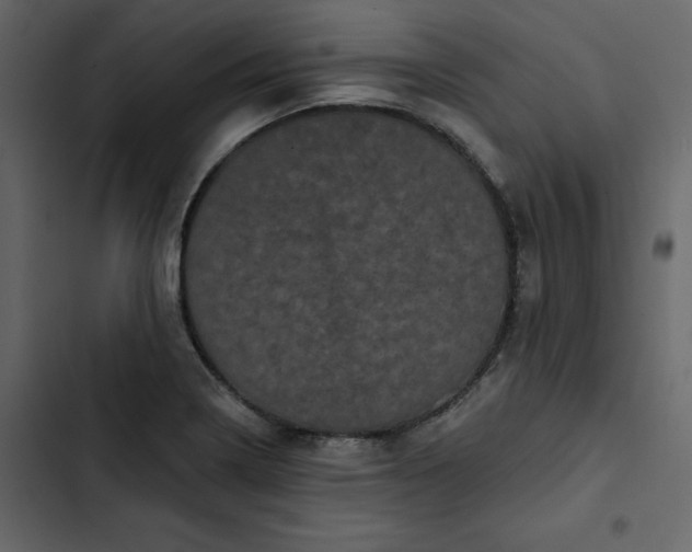 X0000102831322200809021305