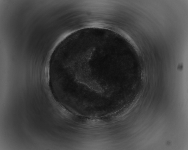 X0000102831323200809021305