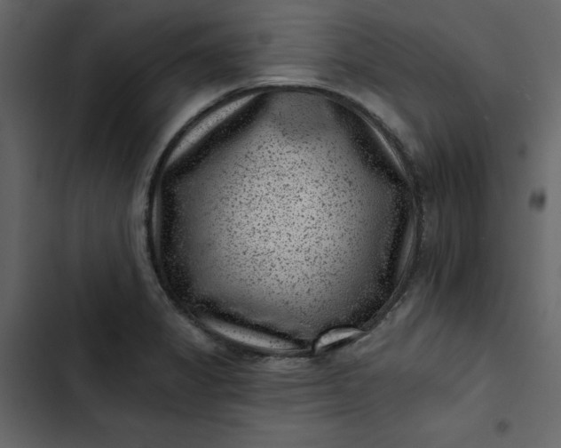 X0000102831325200809021305