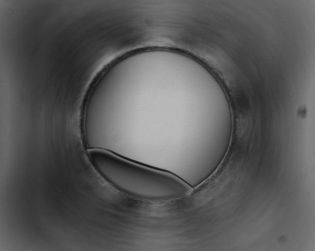 X0000102831326200809021305