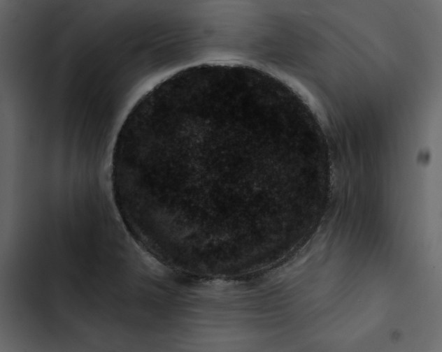 X0000102831327200809021305