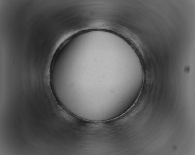 X0000102831328200809021305