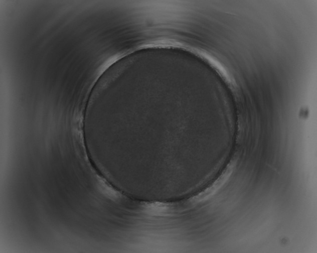 X0000102831329200809021305