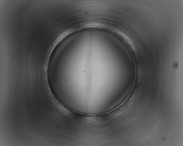 X0000102831330200809021305