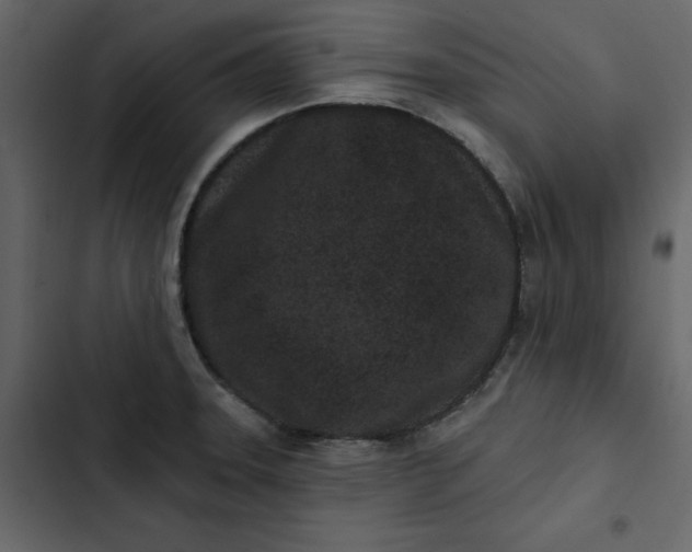 X0000102831331200809021305