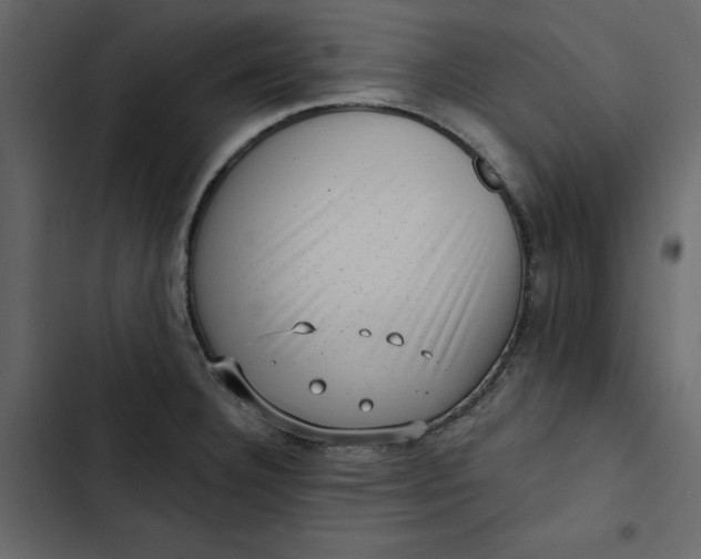 X0000102831332200809021305