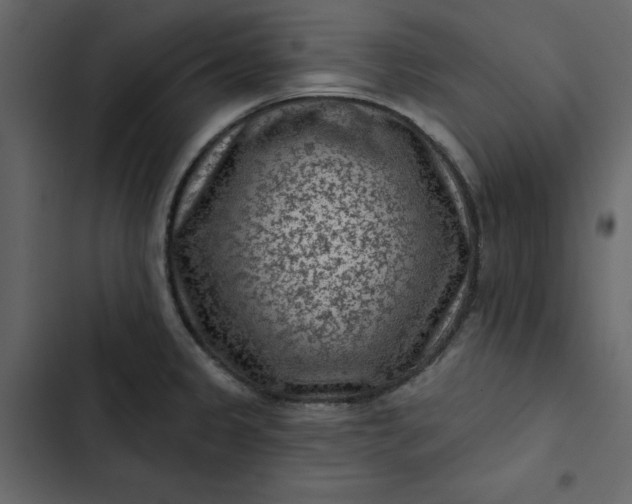 X0000102831333200809021305