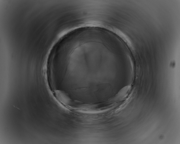 X0000102831334200809021305