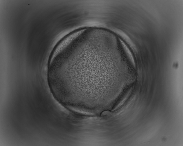 X0000102831335200809021305