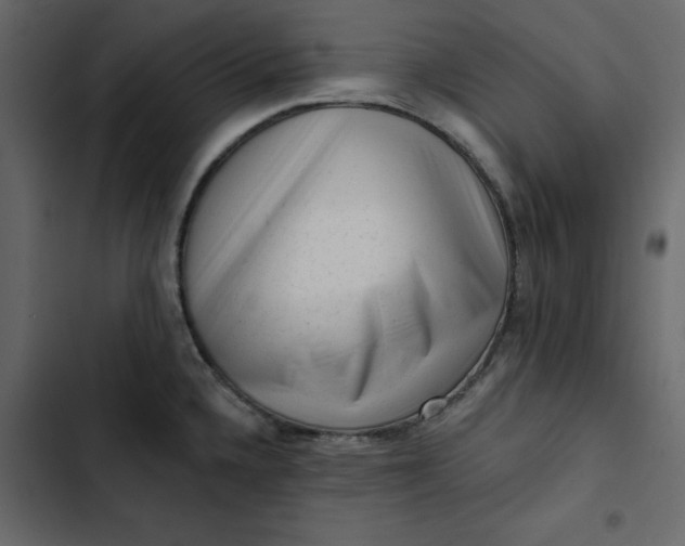 X0000102831336200809021305