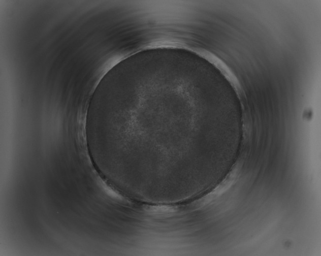 X0000102831337200809021305