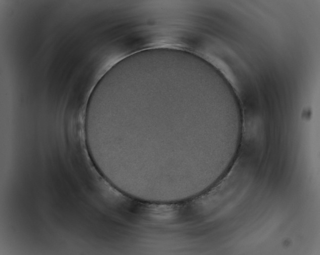 X0000102831338200809021305