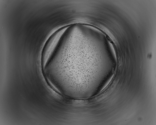 X0000102831339200809021305