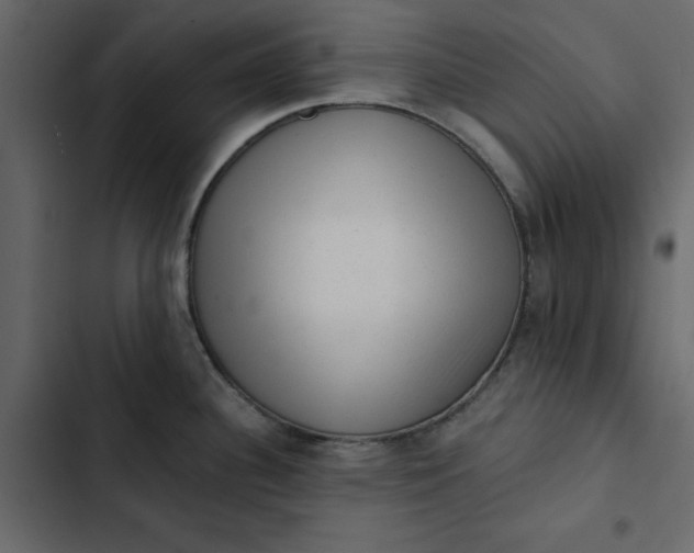 X0000102831340200809021305