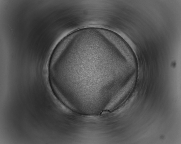 X0000102831341200809021305