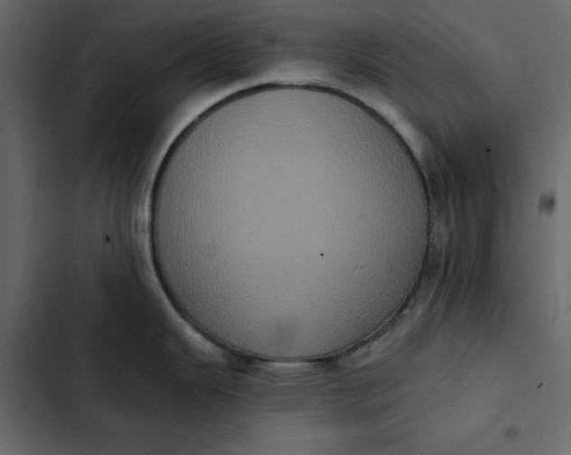 X0000102831343200809021305