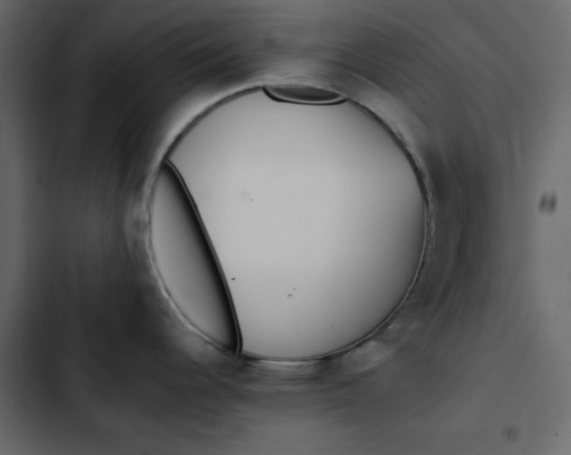 X0000102831344200809021305