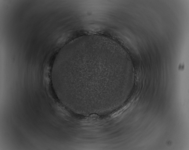 X0000102831346200809021304