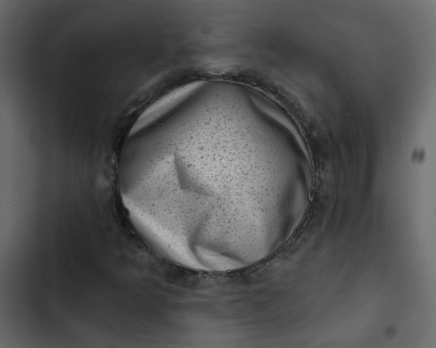 X0000102831349200809021304