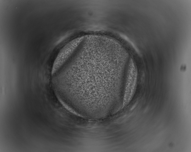 X0000102831350200809021304