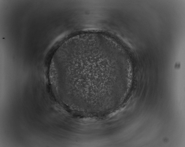 X0000102831351200809021304