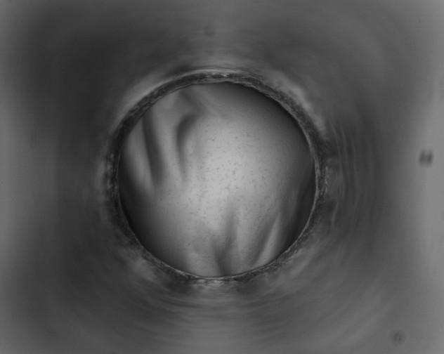 X0000102831352200809021304