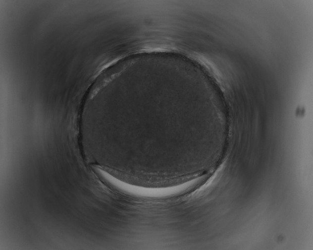 X0000102831353200809021304