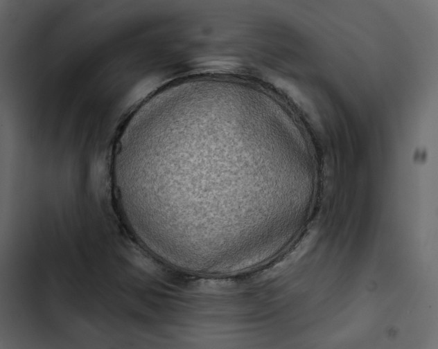 X0000102831354200809021304