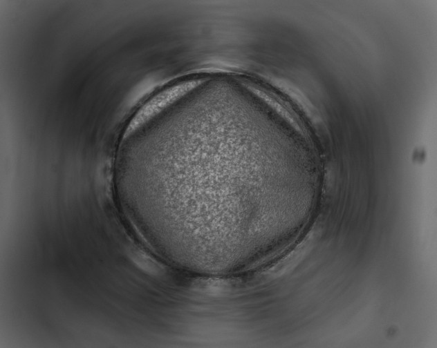 X0000102831355200809021304