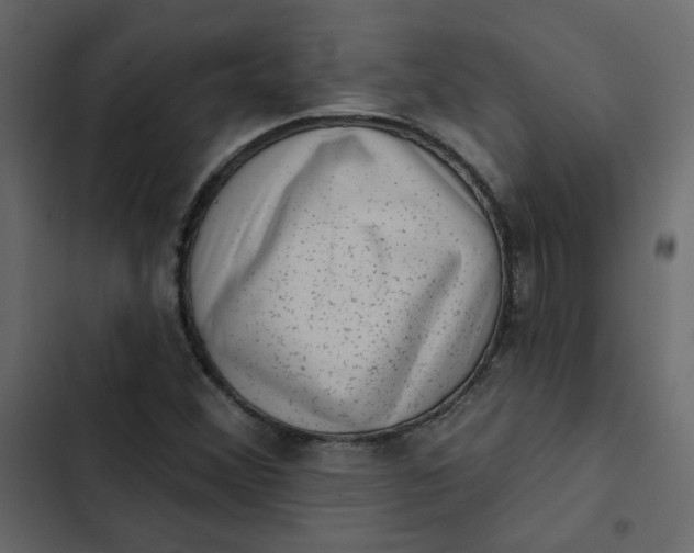 X0000102831356200809021304