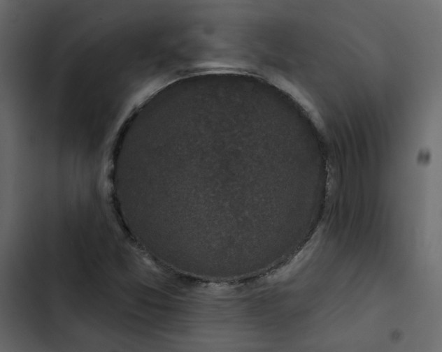 X0000102831357200809021304