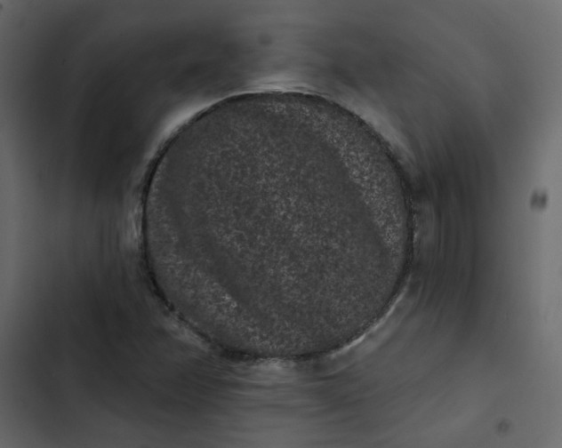 X0000102831358200809021304