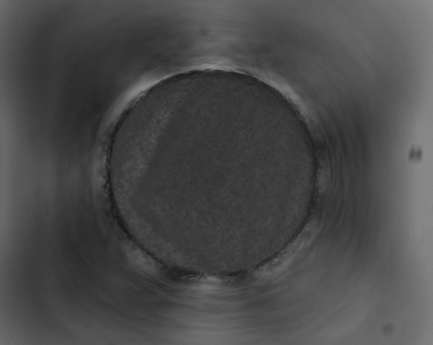 X0000102831359200809021304