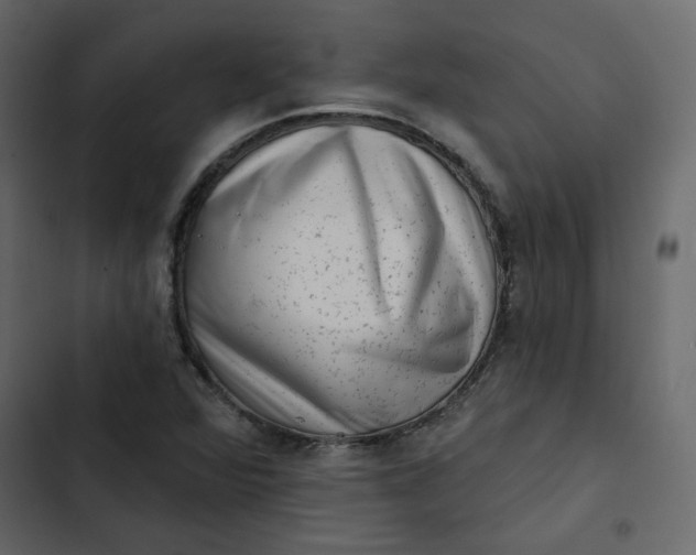 X0000102831360200809021304