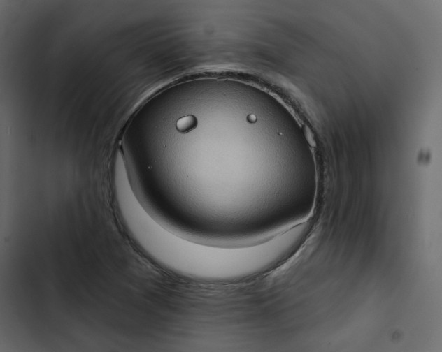 X0000102831361200809021304