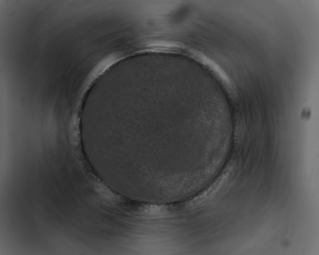 X0000102831362200809021304