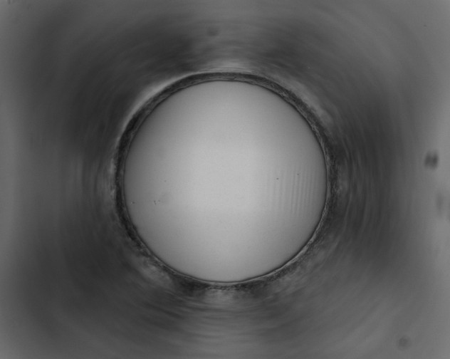 X0000102831364200809021304