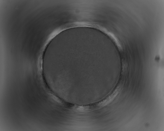 X0000102831365200809021304