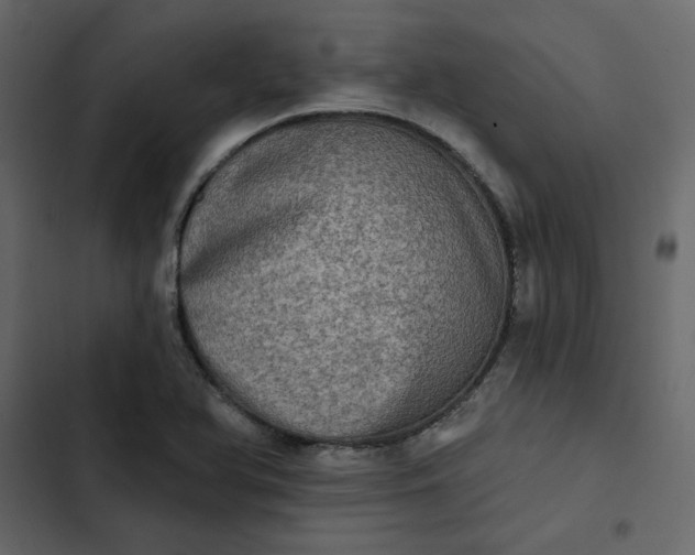 X0000102831366200809021304