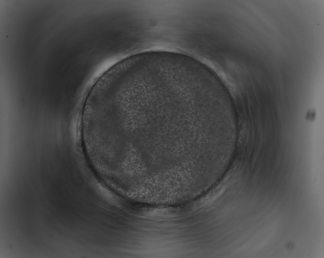 X0000102831367200809021304