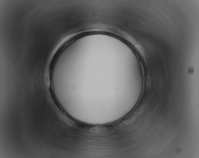 X0000102831368200809021304