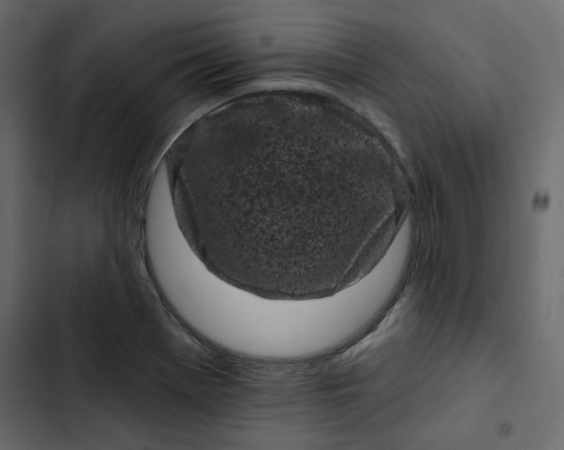 X0000102831369200809021304