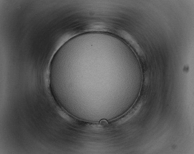 X0000102831370200809021304