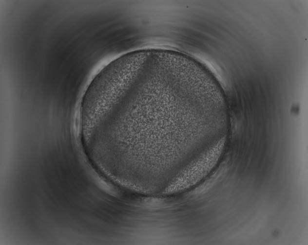 X0000102831371200809021304