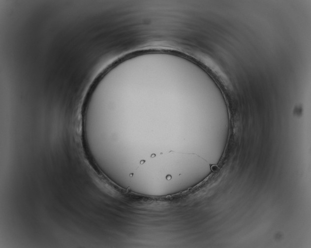 X0000102831372200809021304