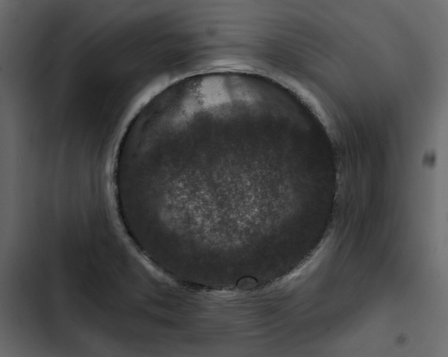 X0000102831373200809021304